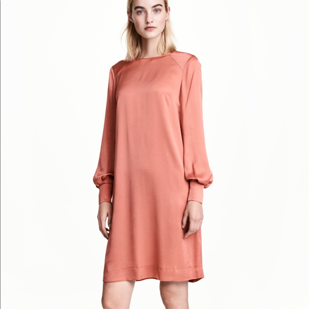 H&M Silky Long Sleeve Shift Dress s8